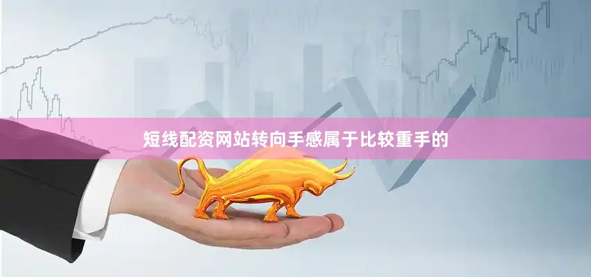 短线配资网站转向手感属于比较重手的