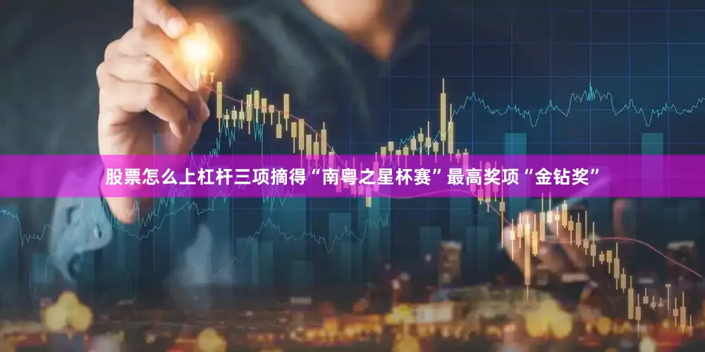 股票怎么上杠杆三项摘得“南粤之星杯赛”最高奖项“金钻奖”